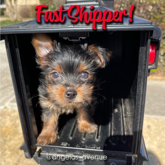 Thank You!🥰💃🏻💜💙💚💛🧡❤💖 - Picture 13 of 16